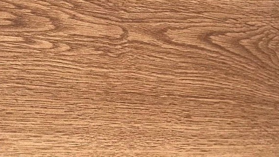 sàn gỗ Excel X21